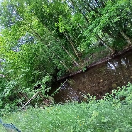 Gite De L'Ours Saint-Maurice-sur-Moselle Zewnętrze zdjęcie