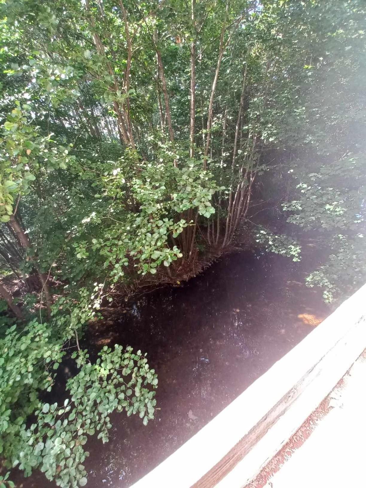 Gite De L'Ours Saint-Maurice-sur-Moselle Zewnętrze zdjęcie
