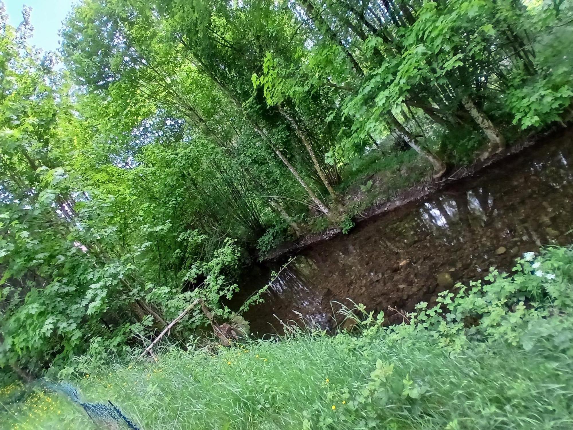 Gite De L'Ours Saint-Maurice-sur-Moselle Zewnętrze zdjęcie