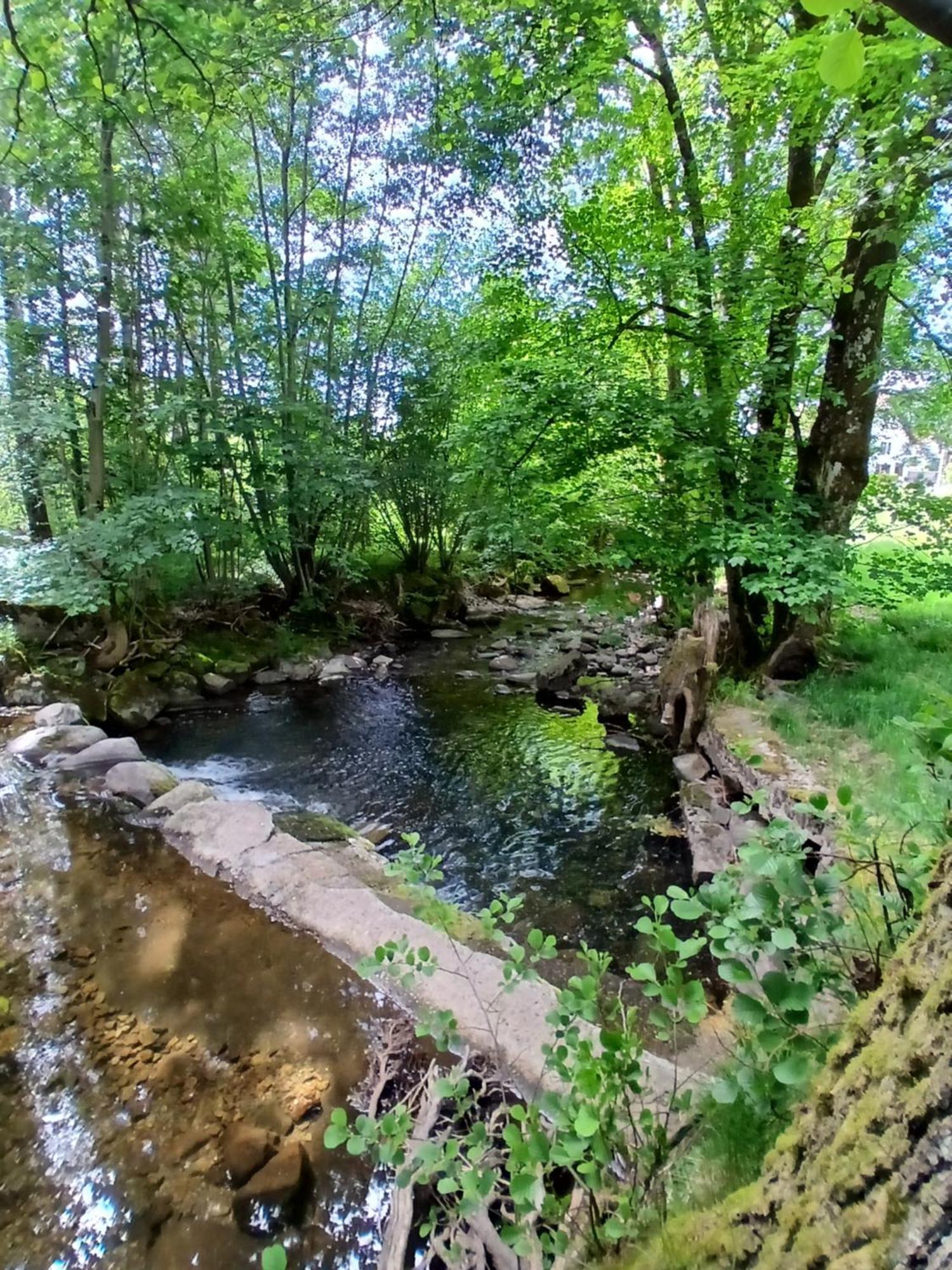 Gite De L'Ours Saint-Maurice-sur-Moselle Zewnętrze zdjęcie