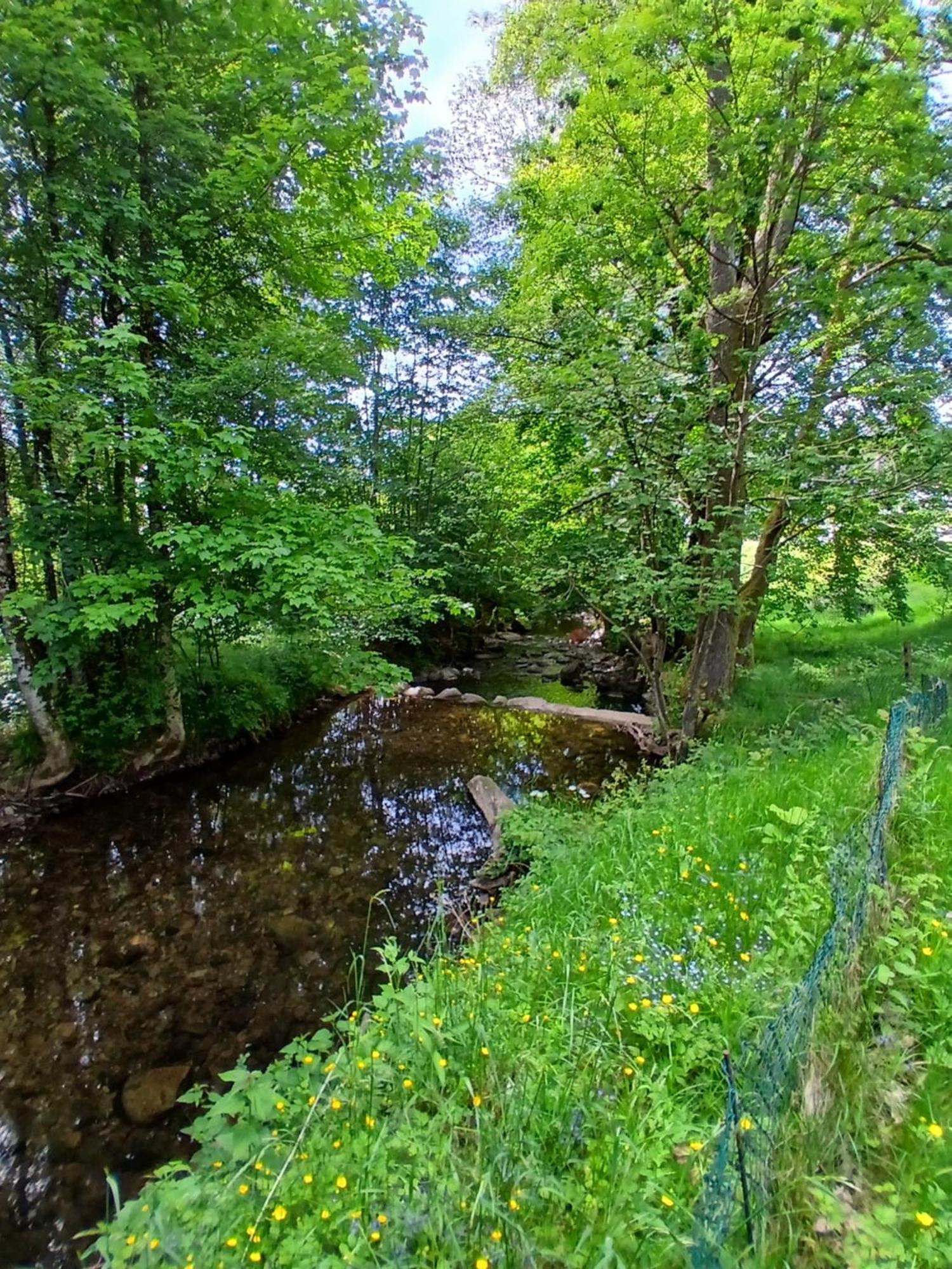 Gite De L'Ours Saint-Maurice-sur-Moselle Zewnętrze zdjęcie